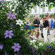 More views of Chelsea Flower Show & Hidden London